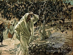 Fig Tree cursing, Tissot James Tissot, "The Accursed Fig Tree," 1886-96.