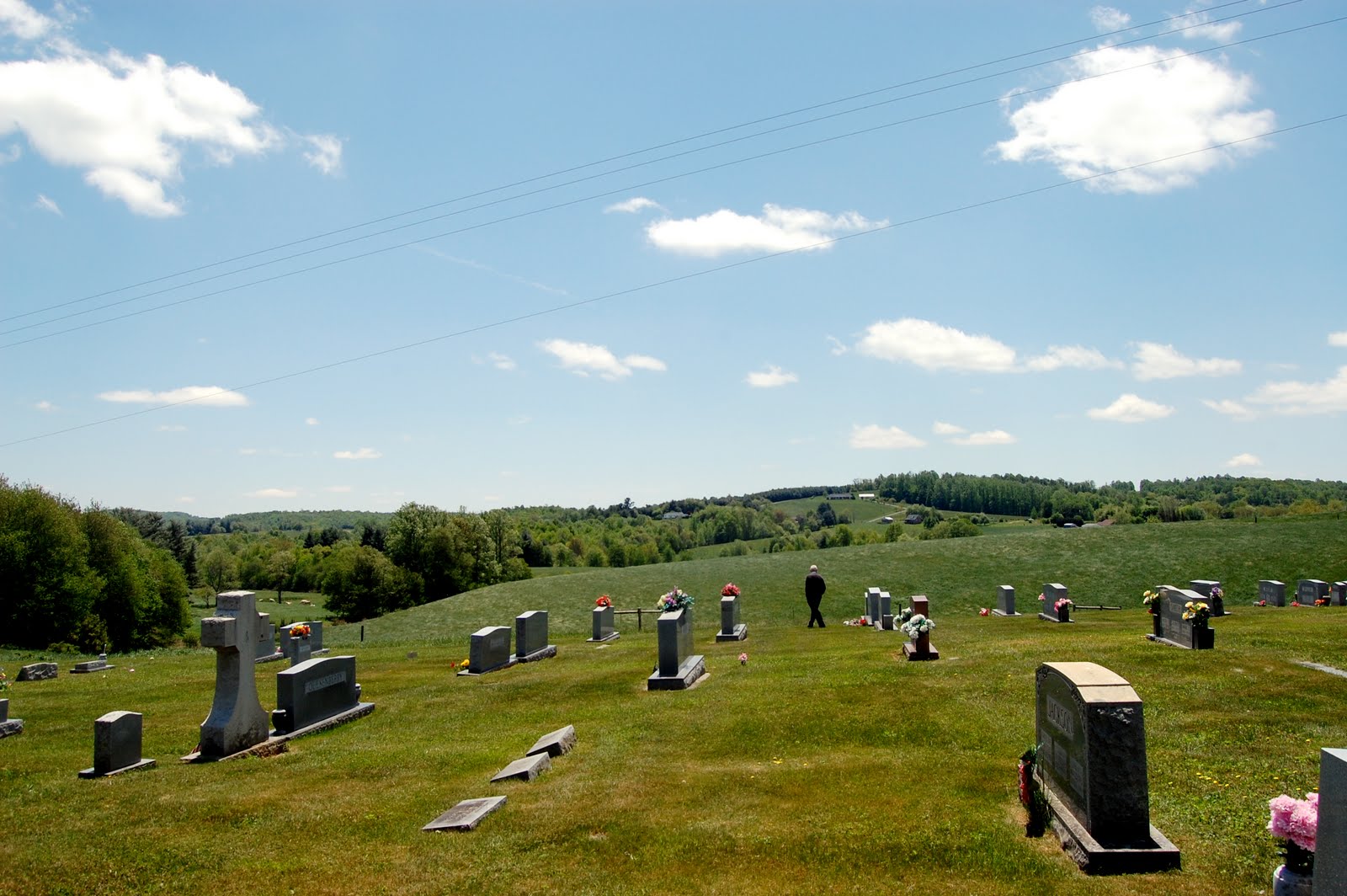 A Mormon Image: Cemetery In Carrol County | Times & Seasons