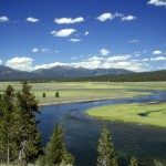 Hayden Valley