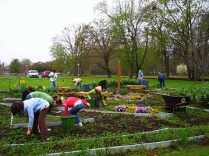 Personal and Community Responsibility