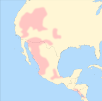 Uto-Aztecan and Semitic: Too much of a good thing