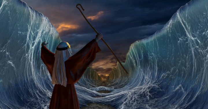 CFM 4/13-4/19: Poetry for “Stand Still, and See the Salvation of the Lord”