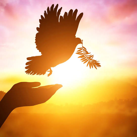 CFM 7/20-7/26: Thoughts and Poetry for “Our Eyes Are upon Thee”